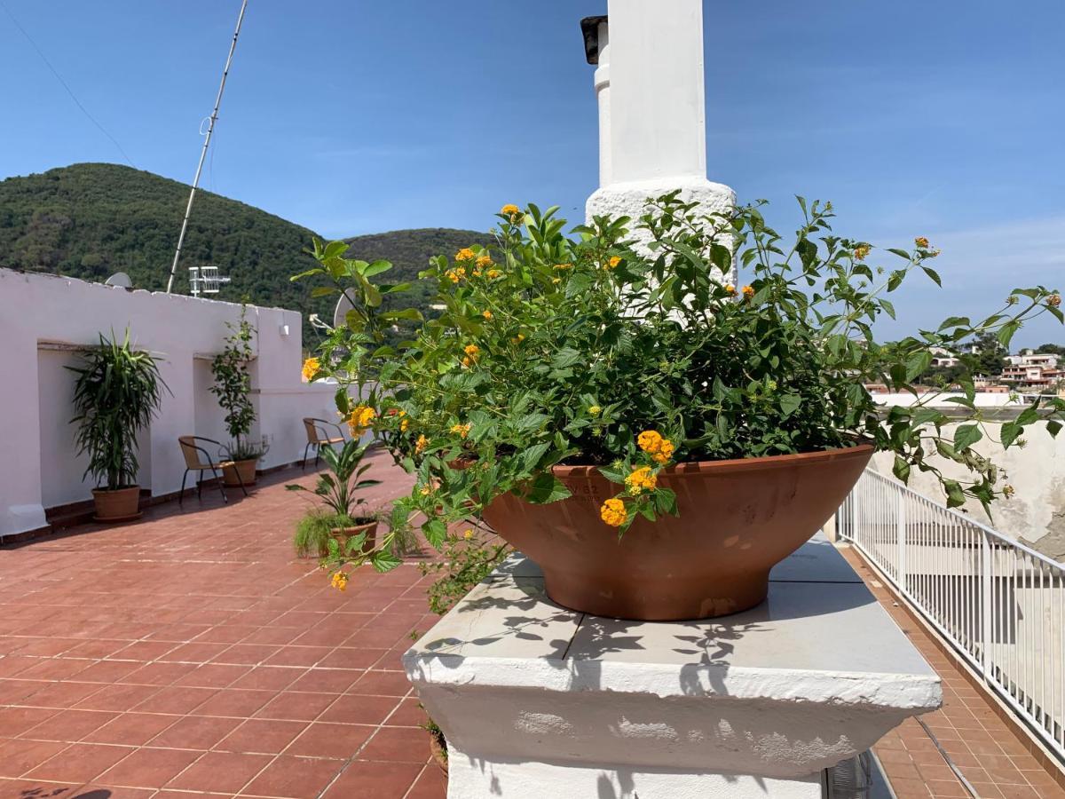 Molo35 Ischia Exterior foto